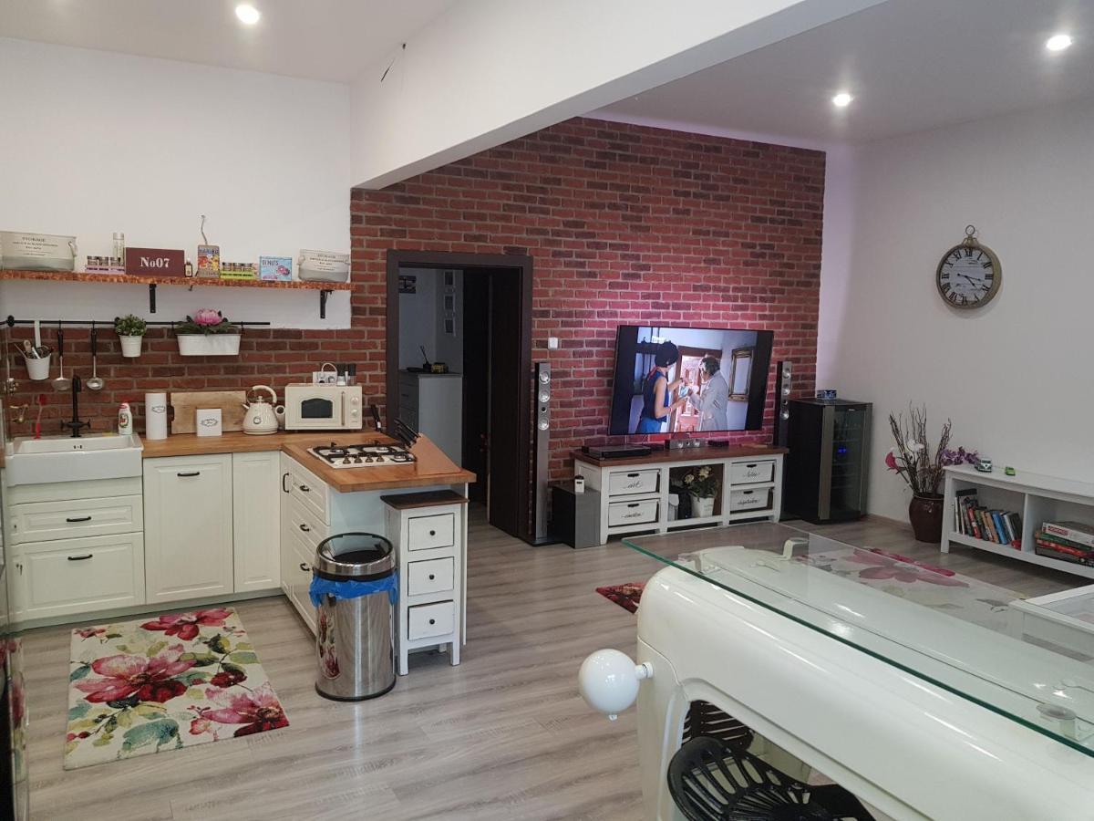 Apartman Karlovy Vary Διαμέρισμα Εξωτερικό φωτογραφία