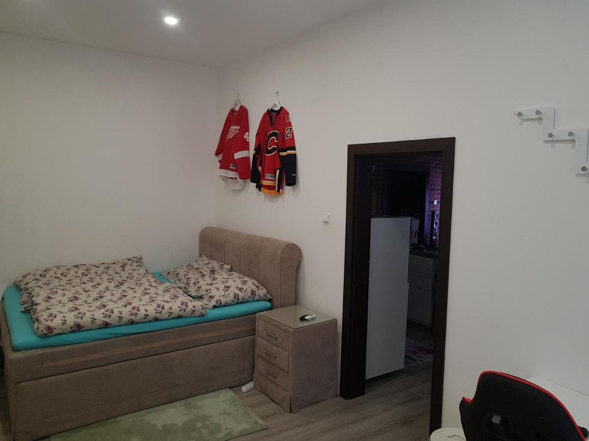 Apartman Karlovy Vary Διαμέρισμα Εξωτερικό φωτογραφία